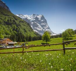 Chalet-Hotel Schwarzwaldalp