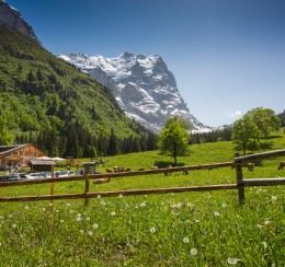 Chalet-Hotel Schwarzwaldalp