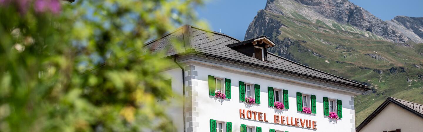 Hotel Bellevue