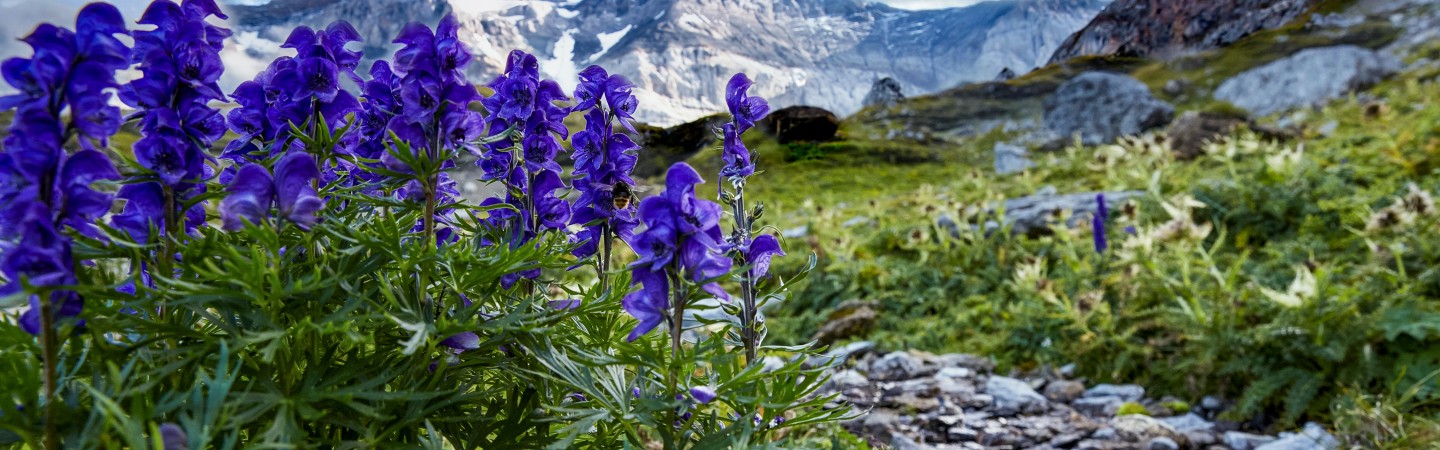 Klausenpass, Switzerland 